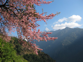 Heart of Nepal trek, tailormade