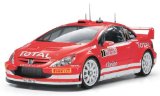 Peugeot 307 WRC Monty Carlo