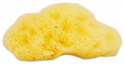 THE NATURAL SEA SPONGE COMPANY - FINA SILK SEA