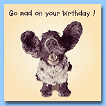 The Pet Set Cocker Spaniel - Birthday