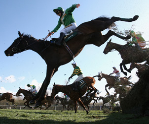 The Spanish Riding School of Vienna