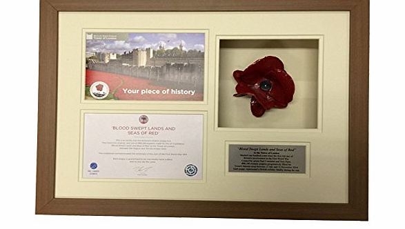 The Sportmemorabilia Framing Company DIY POPPY DISPLAY FRAME - POPPY DISPLAY CASE - FOR TOWER OF LONDON WW1 CERAMIC POPPY Bamp;W WITH BROCHURE CUT OUT