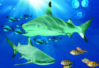 Loch Lomond SEA LIFE Aquarium HALF PRICE Tickets