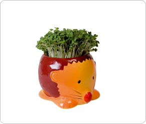 Thomas and Friends Hedgehog Cress