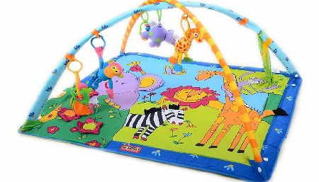 Gymini Super Deluxe Activity Mat