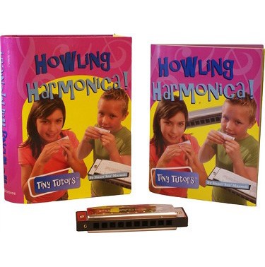 Harmonica Learning Set