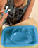 Baby Feeding Tray Blue