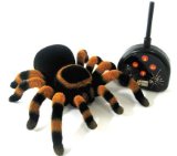 TKC Natural History Museum Radio Control Tarantula