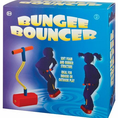 Tobar Bungee Bouncer