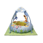 Tomy Winnie The Pooh Playgym