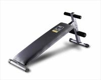 Top Ten Weider 110 Ab Board