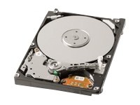 MK1246GSX - hard drive - 120 GB - SATA-300