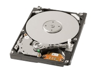 MK1252GSX - hard drive - 120 GB - SATA-300