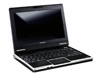 Toshiba Netbook NB100 Linux Atom N270 1.6GHz 512MB RAM 80GB HDD 8.9 WXGA webcam