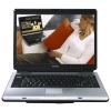 Toshiba Satellite A100225 - 100GB