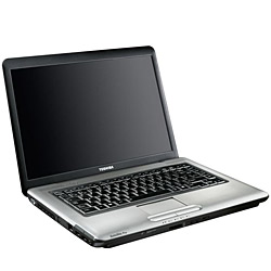 toshiba Satellite A300 Intel Pentium Dual Core T2370 1.73 GHz 1 GB 120 GB MS Windows Vista Business Toshiba