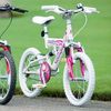 Valentine Girls Bike