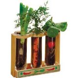 Toyday Root Viewer Growing Kit