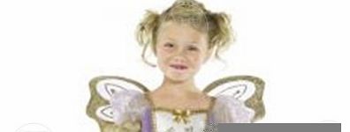 Fairy Fancy Dress Costume