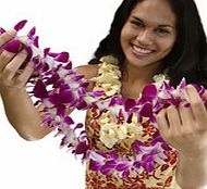 Traditional Lei Meet and Greet on Big Island -