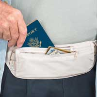 Travelpro Luggage Waist Safe Tan