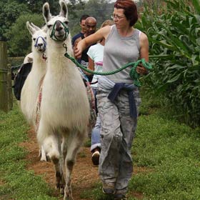 treatme.net Llama Trekking for two