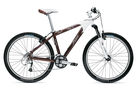 4500 2009 Women` Mountain Bike