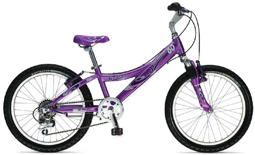 Mountain Lion 60 Girls 2006 Bike