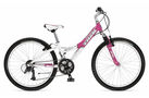 Mountain Track 220 Girls 2006 Kids Bike