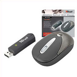 Wireless Optical Mini Mouse