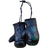 Turner Sports Mini Punch Boxing Gloves Miniature Novelties Key Chain Ganja Flagged