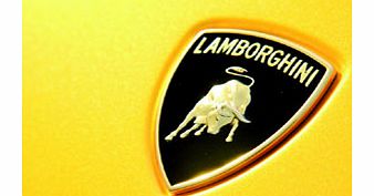 Ultimate Lamborghini Driving Thrill with