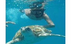 Snorkel Tour & Bridgetown Shopping -