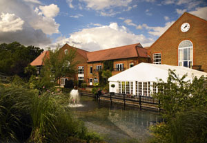 Spa Day for Two at Marriott Tudor Park