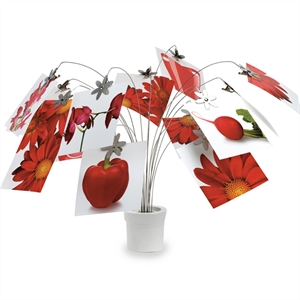 Petal Photo Holders