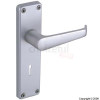 Ambassador Anodised Silver Mortice Door