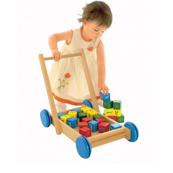 Wooden Walker with Blocks