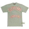 UNK Nba Cleveland Cavaliers Grey Tee