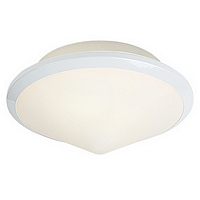 029 25WHPL13 - White Flush Light