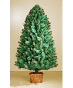 1.8m/6ft Rocky Ridge Blue Tree with Basket