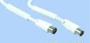 100HZ TV COAX M-M 5M WHITE