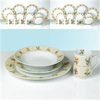 16 Piece Herb Dinner Set Offer