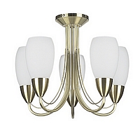 Unbranded 1903 5SB - 5 Light Satin Brass Ceiling Light