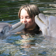 Unbranded 2-Day Swim with Dolphins Tour - Key Largo -