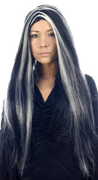 Unbranded 24 Inch Witch Wig with White Streak