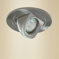 Unbranded 309SS - Satin Chrome Swivel Downlight