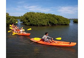 Combine off-roading and kayaking around Antiguas North Sound National Park before heading to uninhabited Bird Island for lunch, swimming and snorkelling.