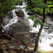 A unique opportunity to explore the Malaysian Rainforest. Enjoy the sights of a waterfall and river 