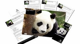 Adopt a Panda