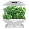 Unbranded AeroGarden Starter Kit in White